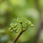 Questo puoi venderlo: account Instagram tematici già cresciuti